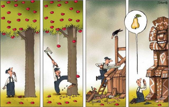 ●【画像】リンゴの木があったなら・・・